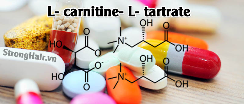 L- carnitine- L- tartrate là gì