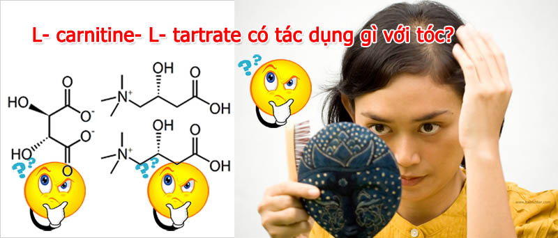 L- carnitine- L- tartrate có tác dụng gì