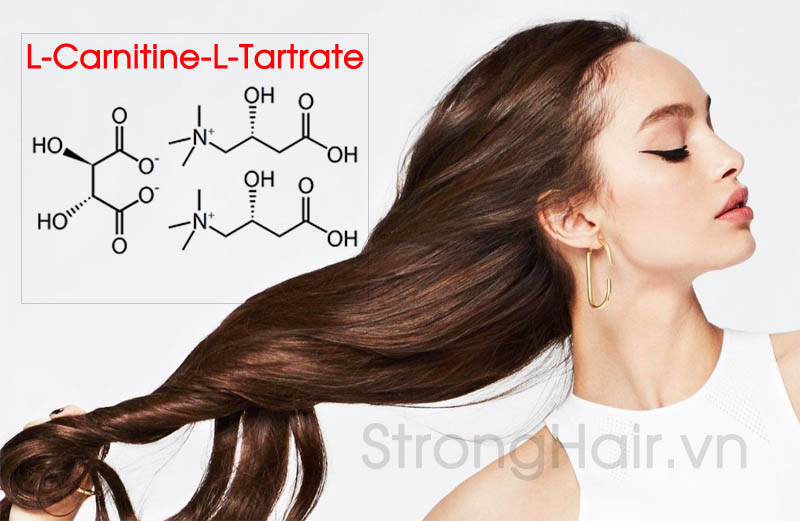 L-carnitine- L-tartrate