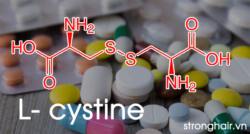L- cystine là gì?